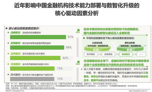 2025年中國(guó)金融科技（FinTech）行業(yè)發(fā)展洞察報(bào)告 信息技術(shù)咨詢服務(wù)的核心作用